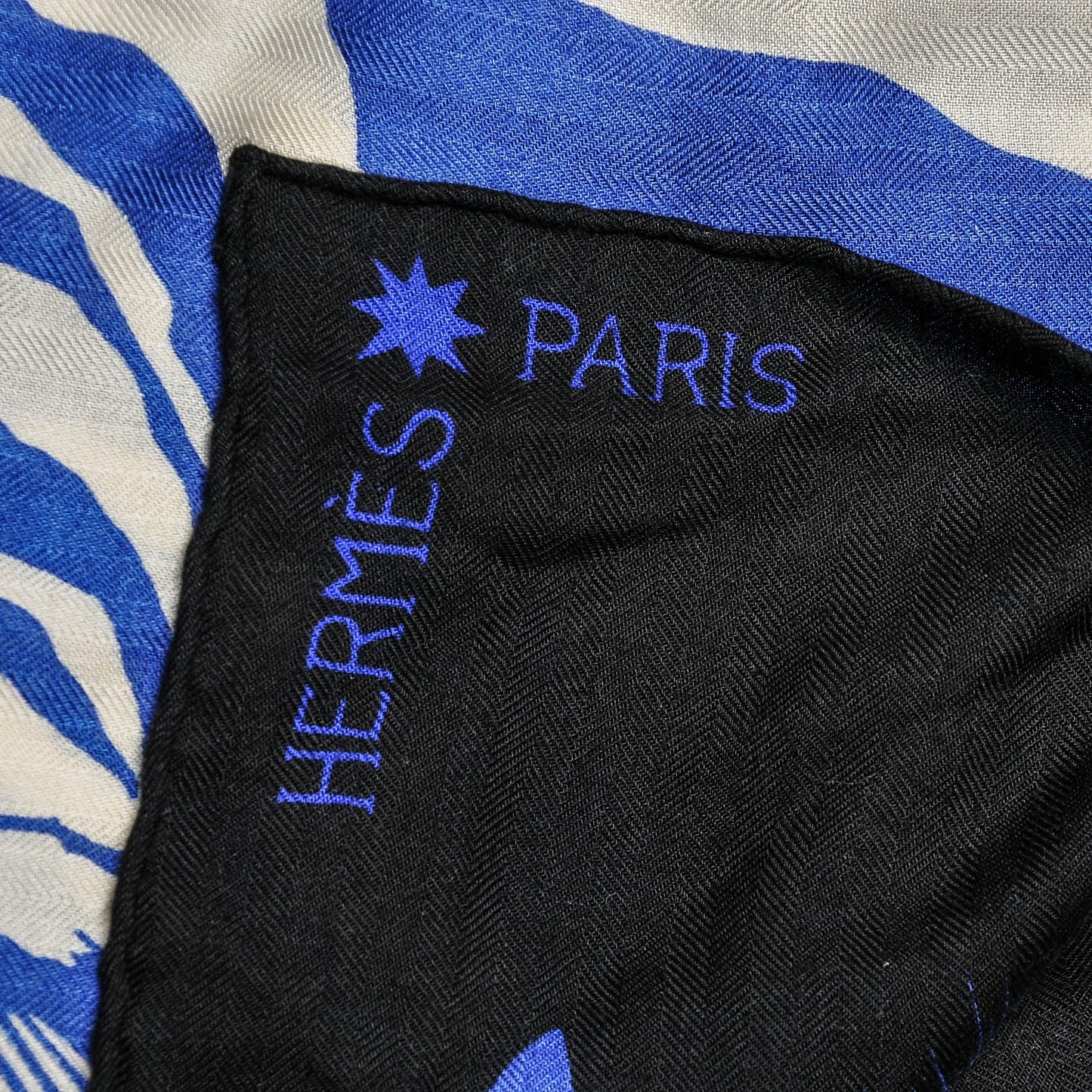 Cashmere Silk Zebra Pegasus Shawl GM 140 Caban Turquoise Bleu Klein