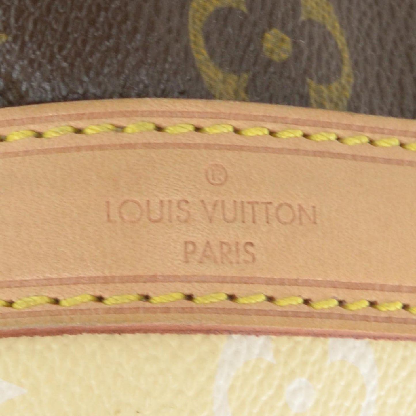 Monogram Rayures Noe
