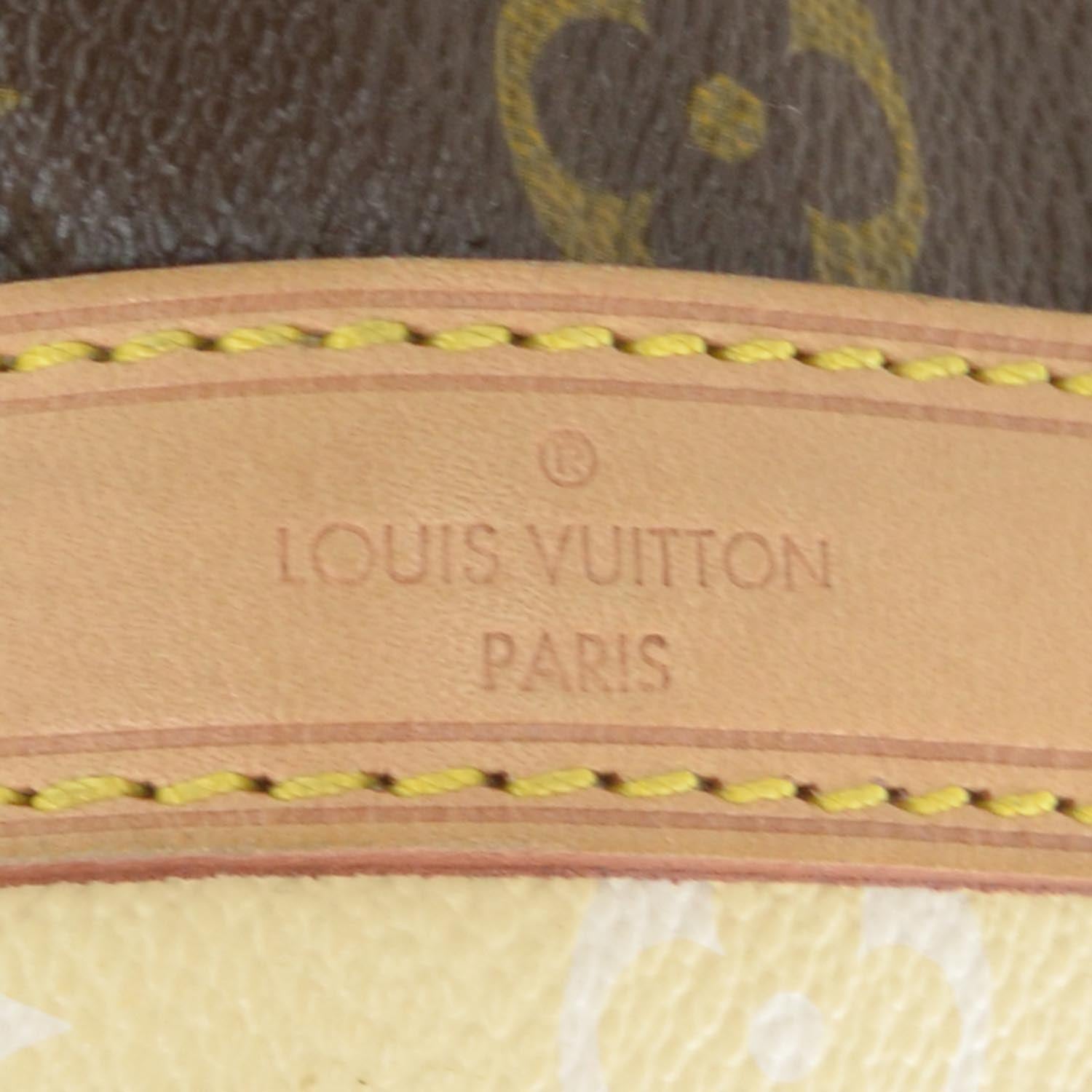 Louis Vuitton Monogram Rayures Noe 5 of 8