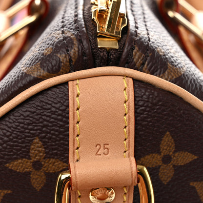 Louis Vuitton LV X YK Monogram Embroidered My Eternal Soul Speedy Bandouliere 25 Multicolor 11 of 11