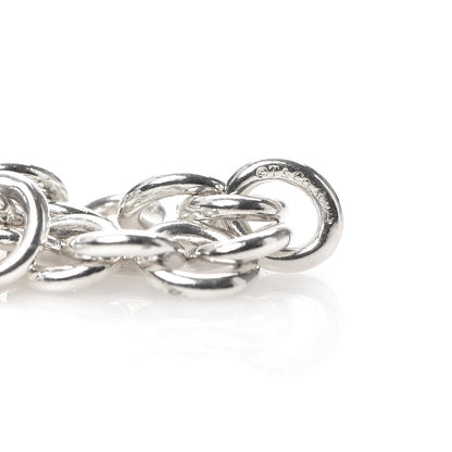 Tiffany Sterling Silver Lock Charm Bracelet 5 of 6