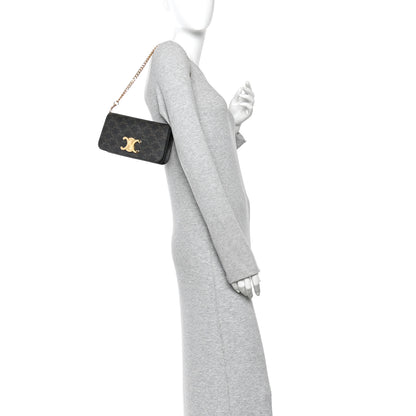 Celine Triomphe Canvas Multipochette Tan 2 of 10