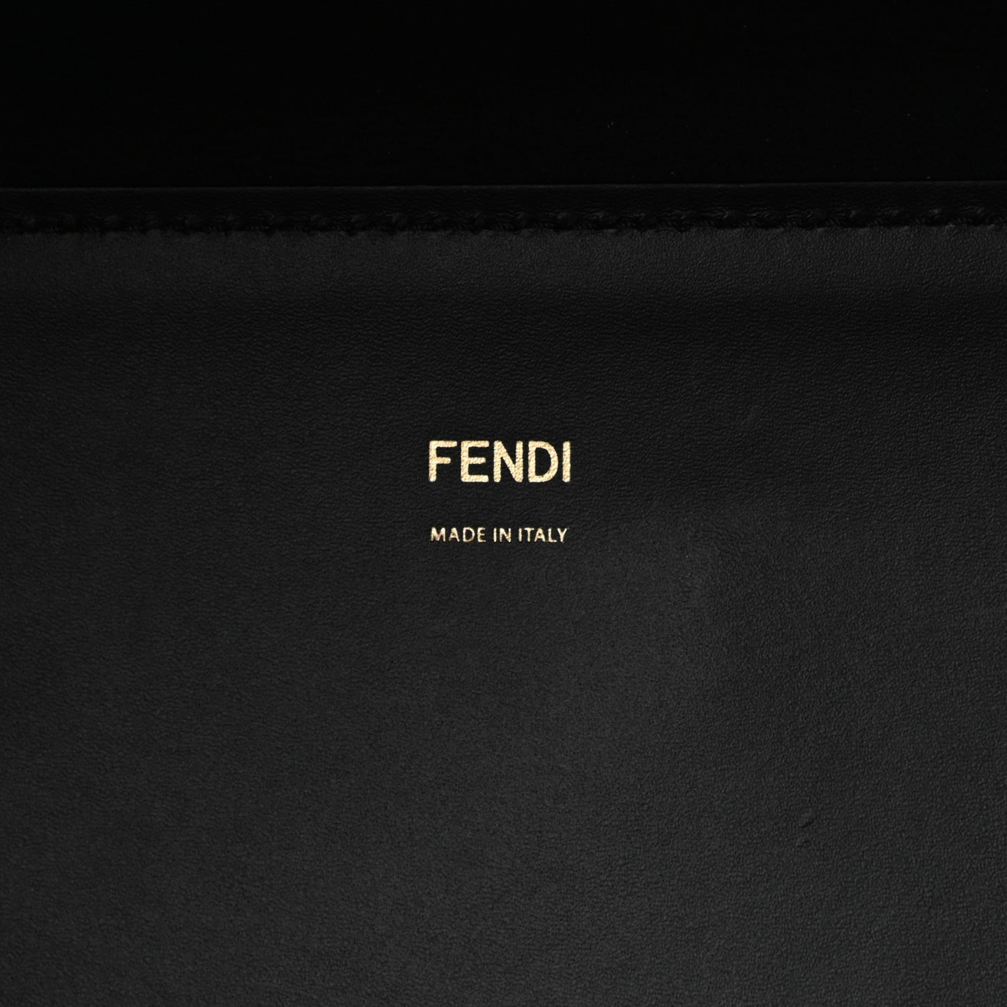 Vitello King Plexiglass Medium Fendi Sunshine Shopper Tote Black
