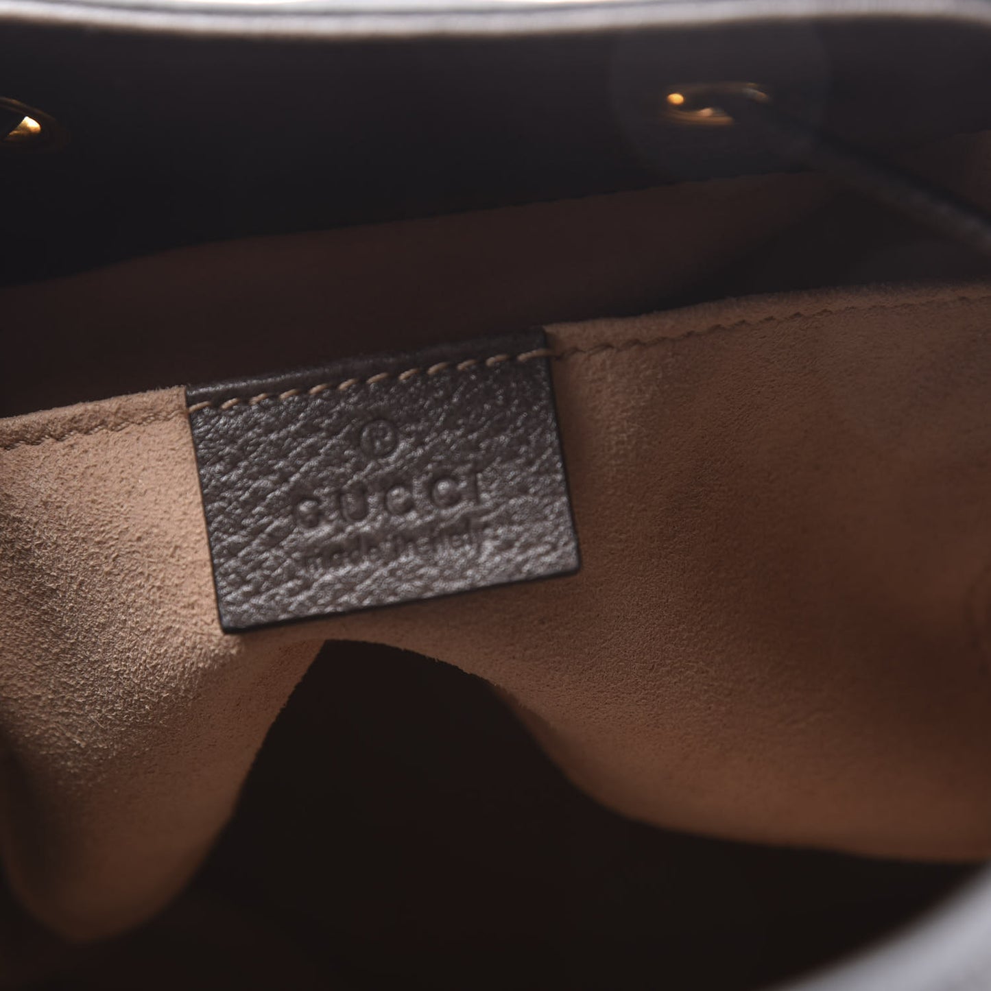 GG Supreme Monogram Web Small Ophidia Bucket Bag Brown