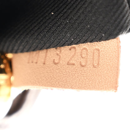 Louis Vuitton Monogram Bumbag 7 of 11