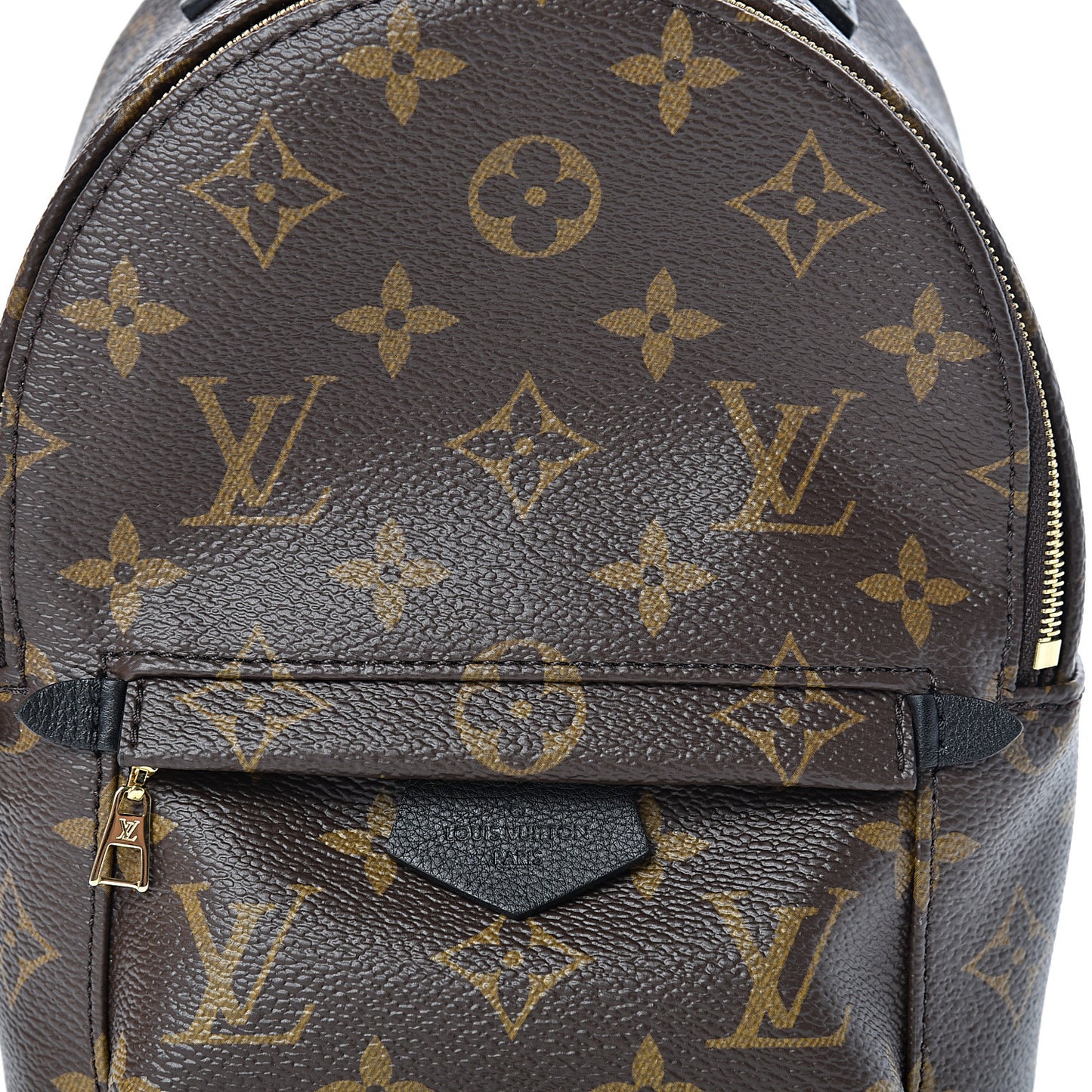 Monogram Palm Springs Backpack Mini