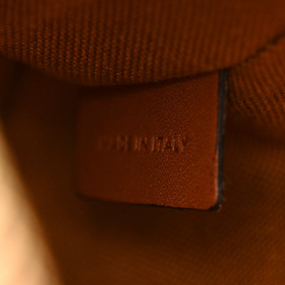Celine Triomphe Canvas Small Camera Bag Tan 6 of 12
