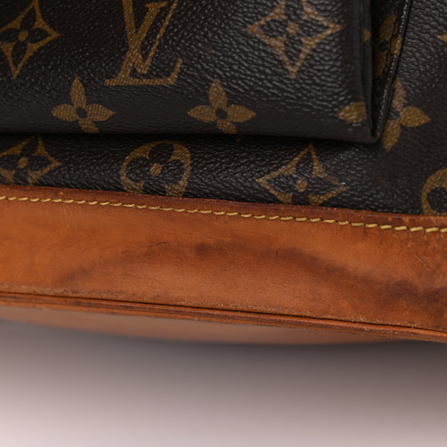 Monogram Montsouris GM Backpack