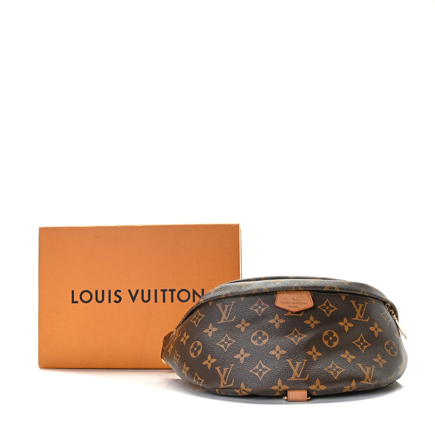Louis Vuitton Monogram Bumbag 11 of 11