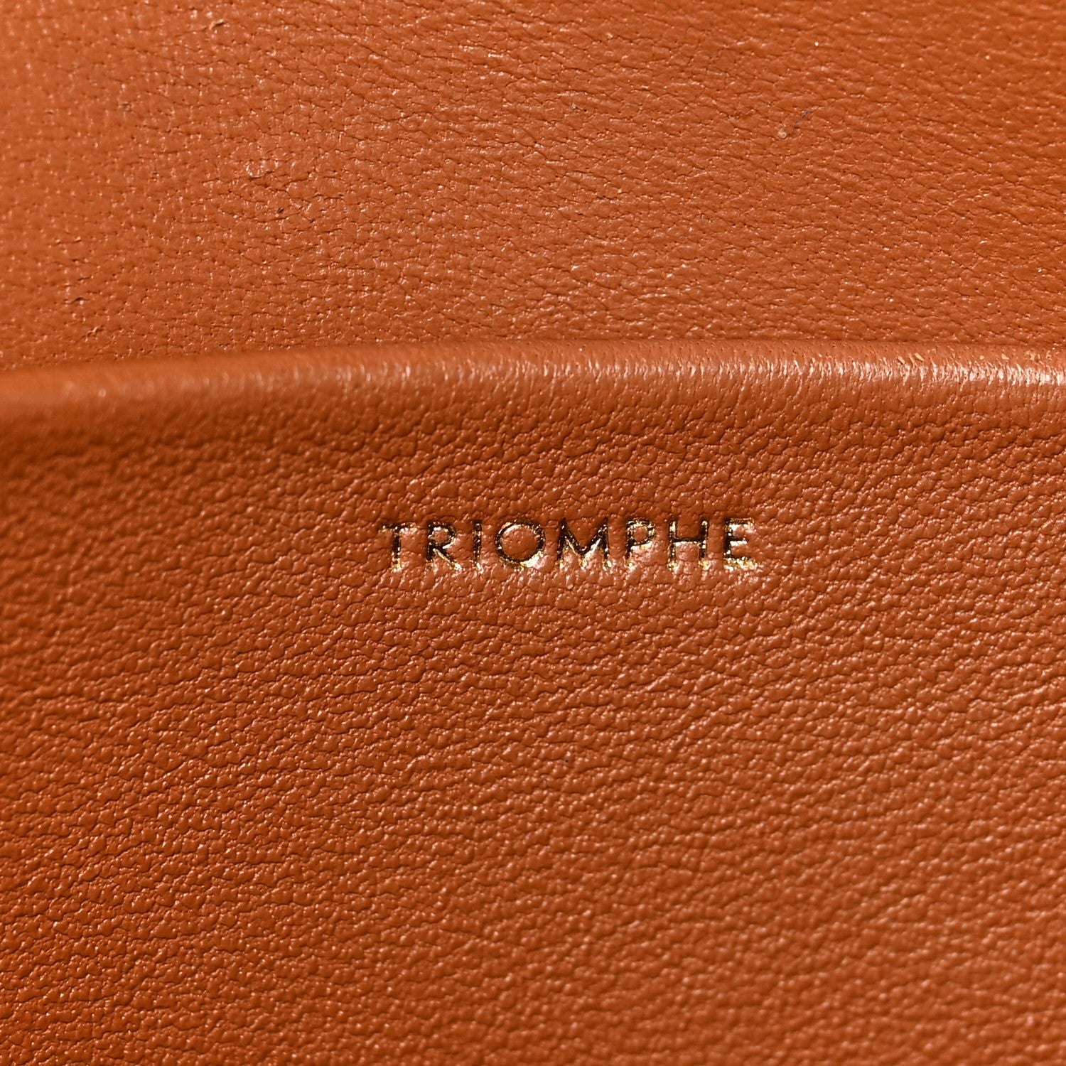 Celine Canvas Calfskin Triomphe Shoulder Bag Tan 13 of 17