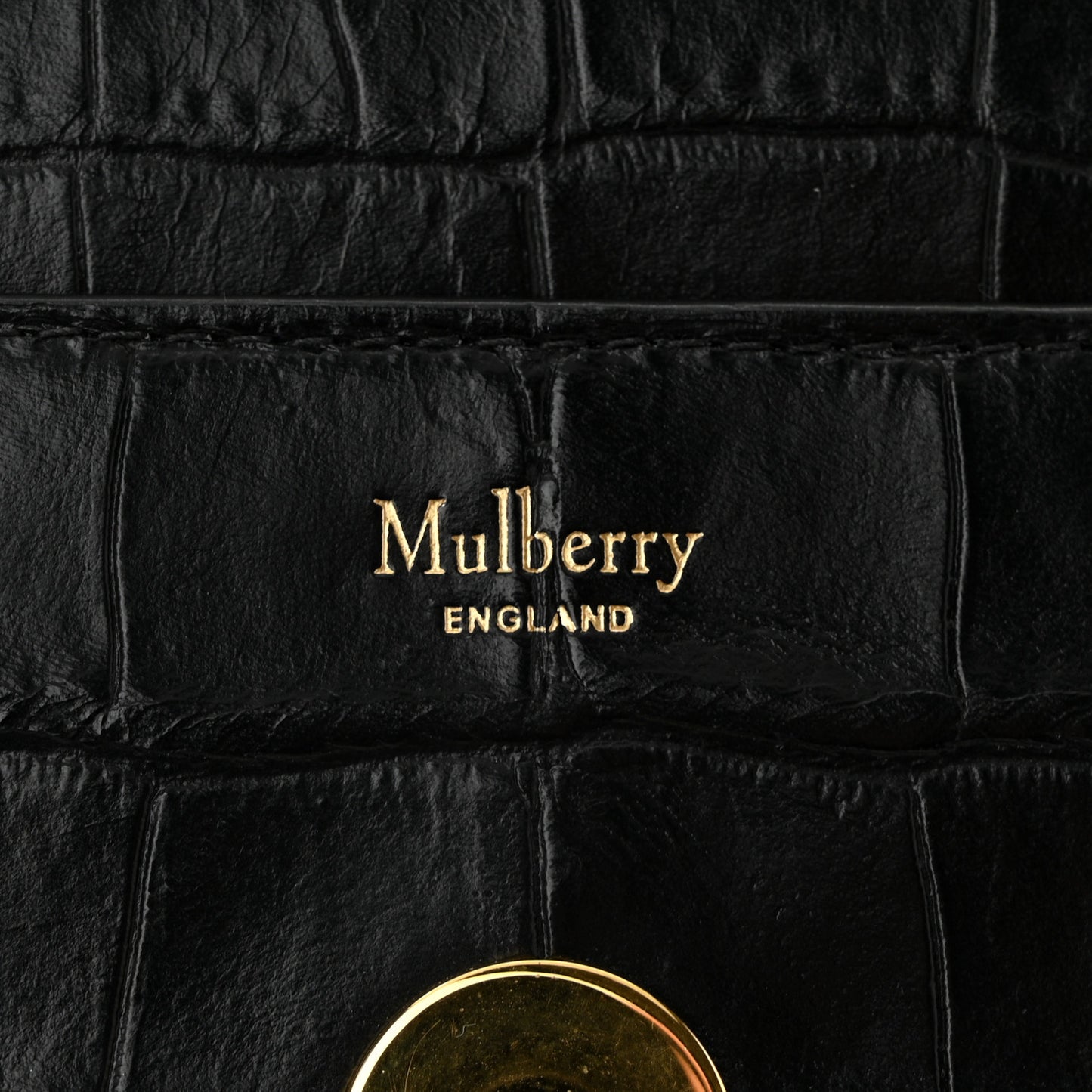 Crocodile Embossed Calfskin Small Darley Black