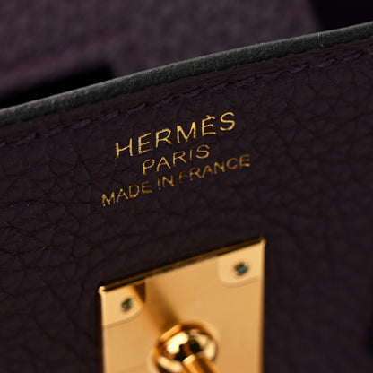 Hermes Togo Birkin 25 Cassis 6 of 10