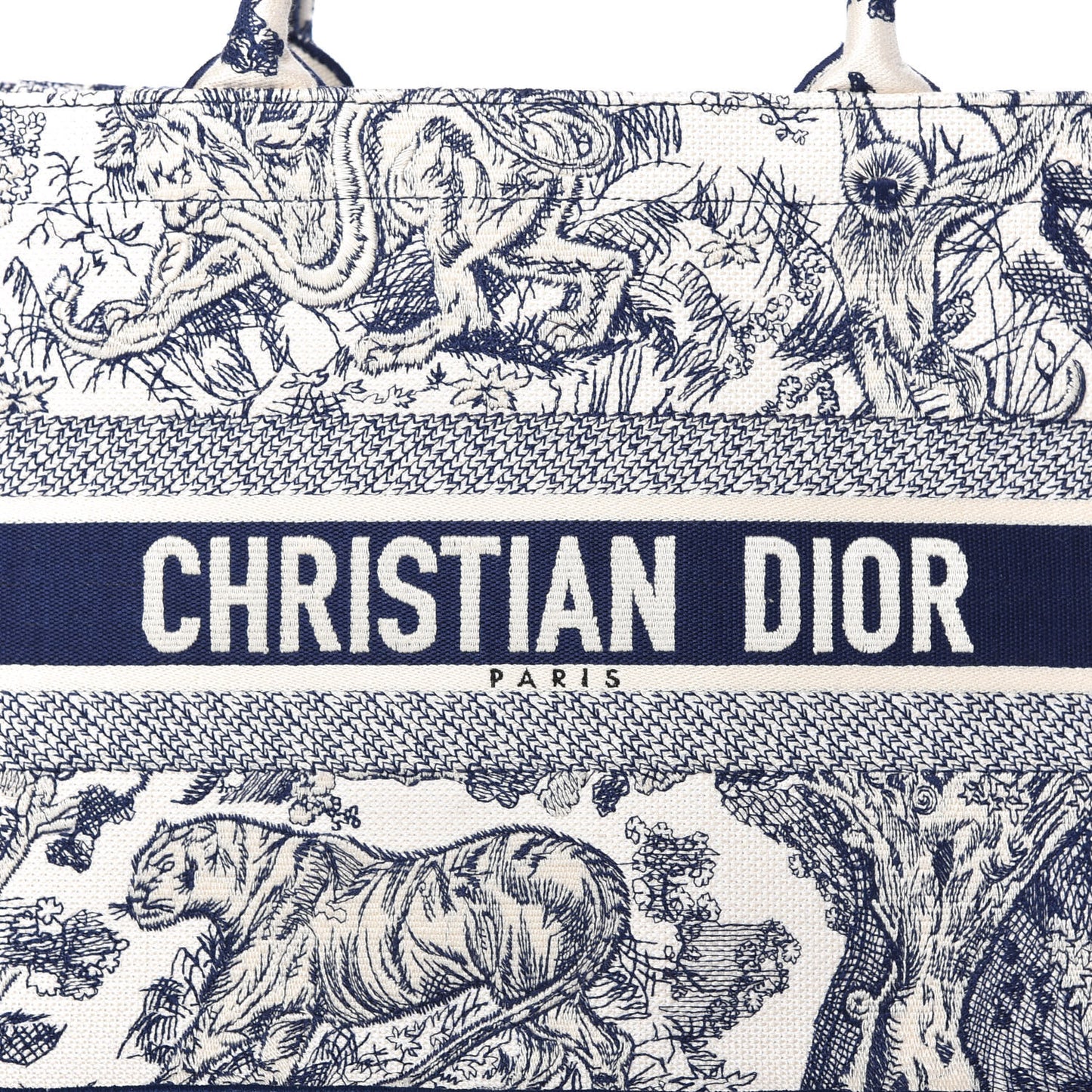 Canvas Embroidered Medium Dioriviera Toile De Jouy Book Tote Blue