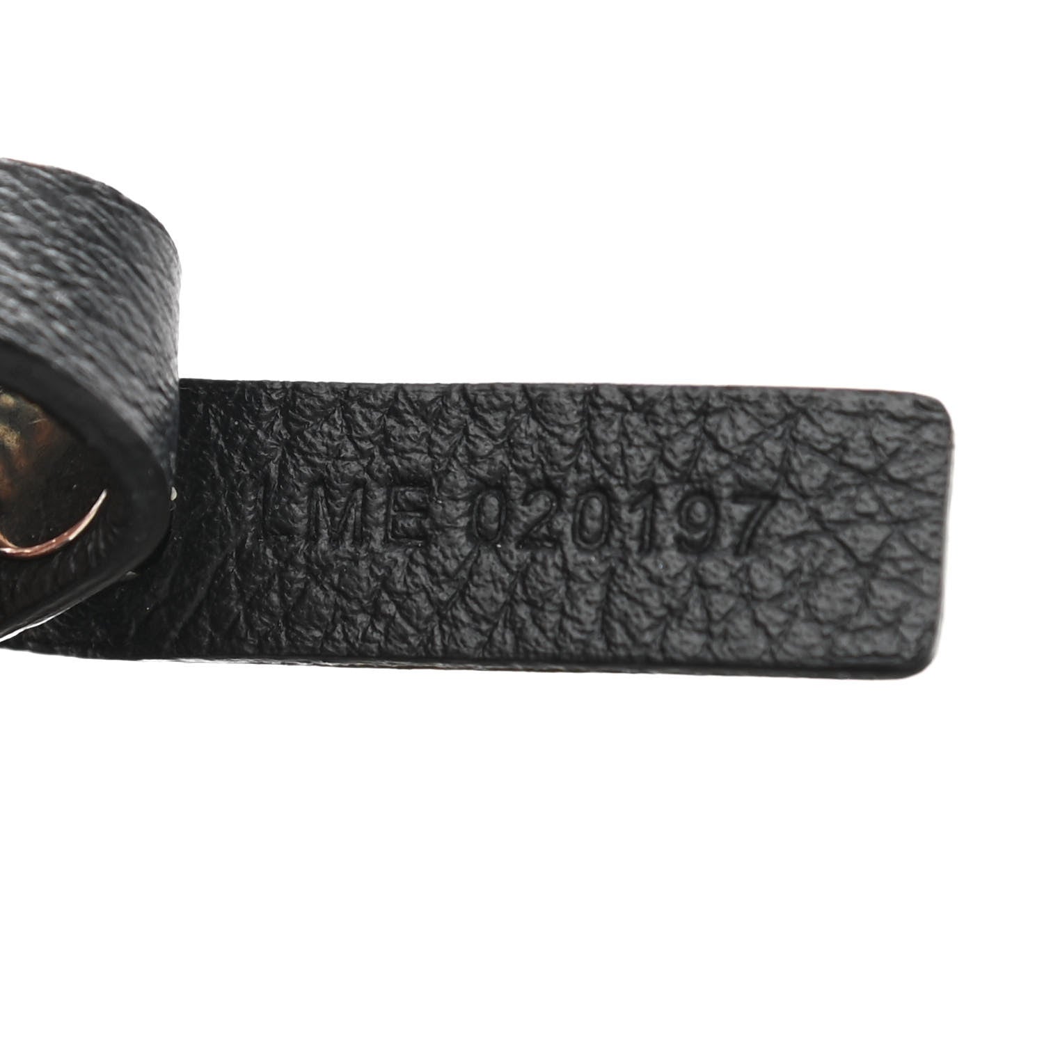 Goyard Goyardine Saint Louis GM Black 9 of 16