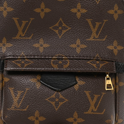 Louis Vuitton Monogram Palm Springs Backpack Mini 15 of 23