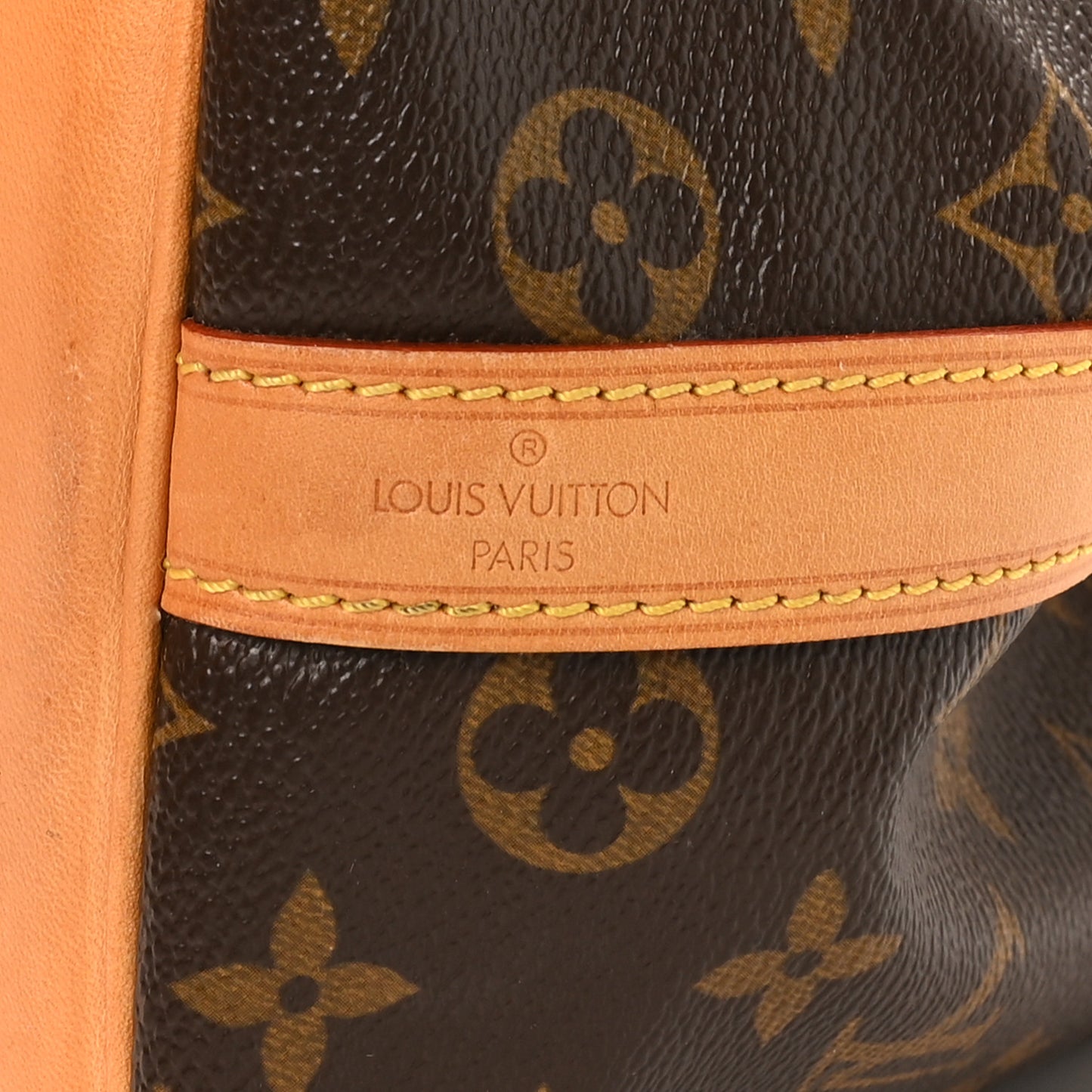 Monogram Petit Noe