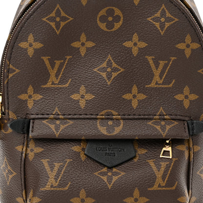 Louis Vuitton Monogram Palm Springs Backpack Mini 7 of 13