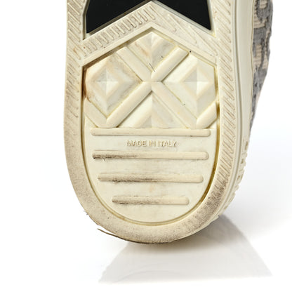 Christian Dior Canvas Oblique Walk'N'Dior Low Top Sneakers 38 Grey Stone 6 of 7