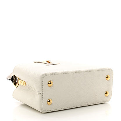 Louis Vuitton Taurillon Ayers Capucines Mini White Snow White 4 of 9