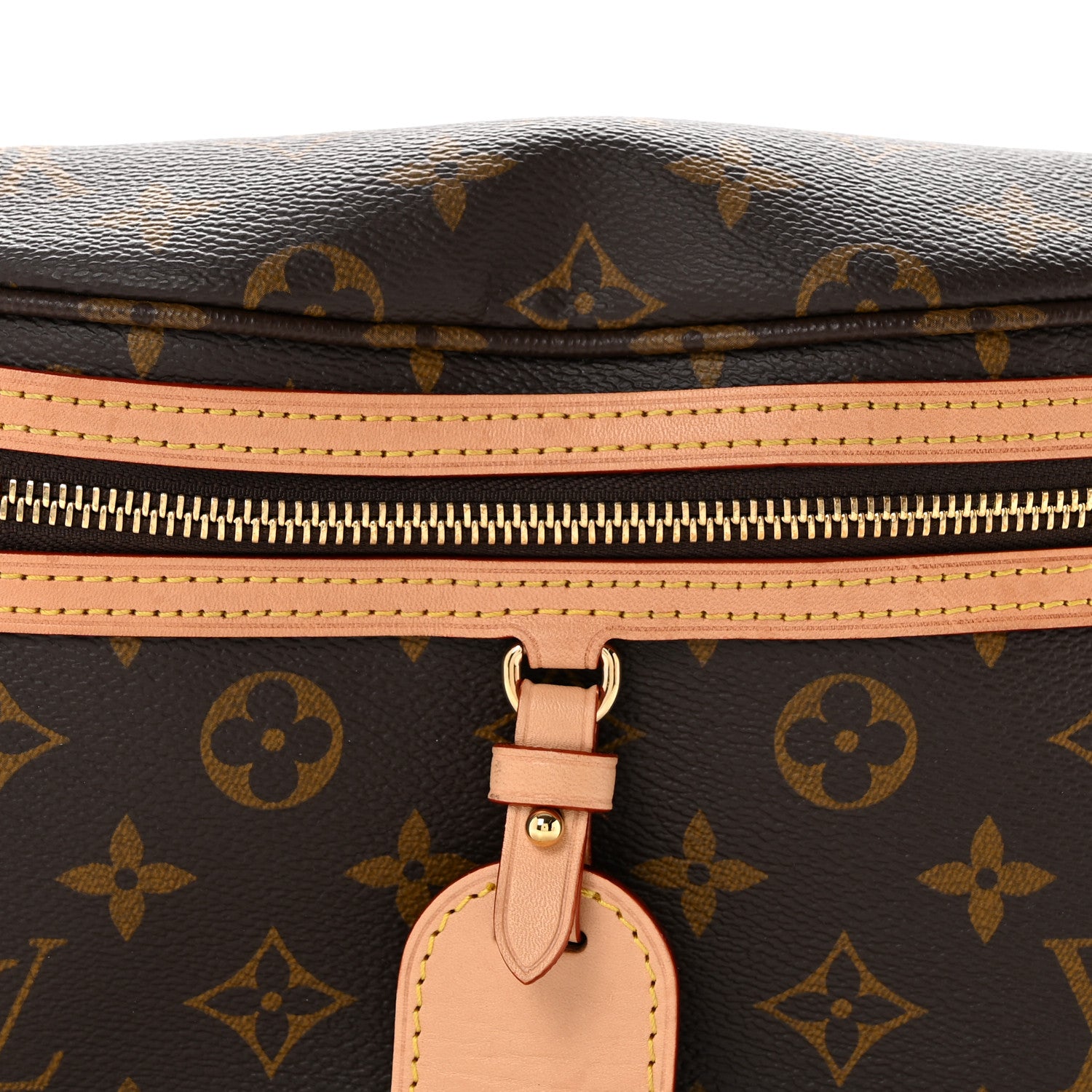 Louis Vuitton Monogram High Rise Bumbag 7 of 14