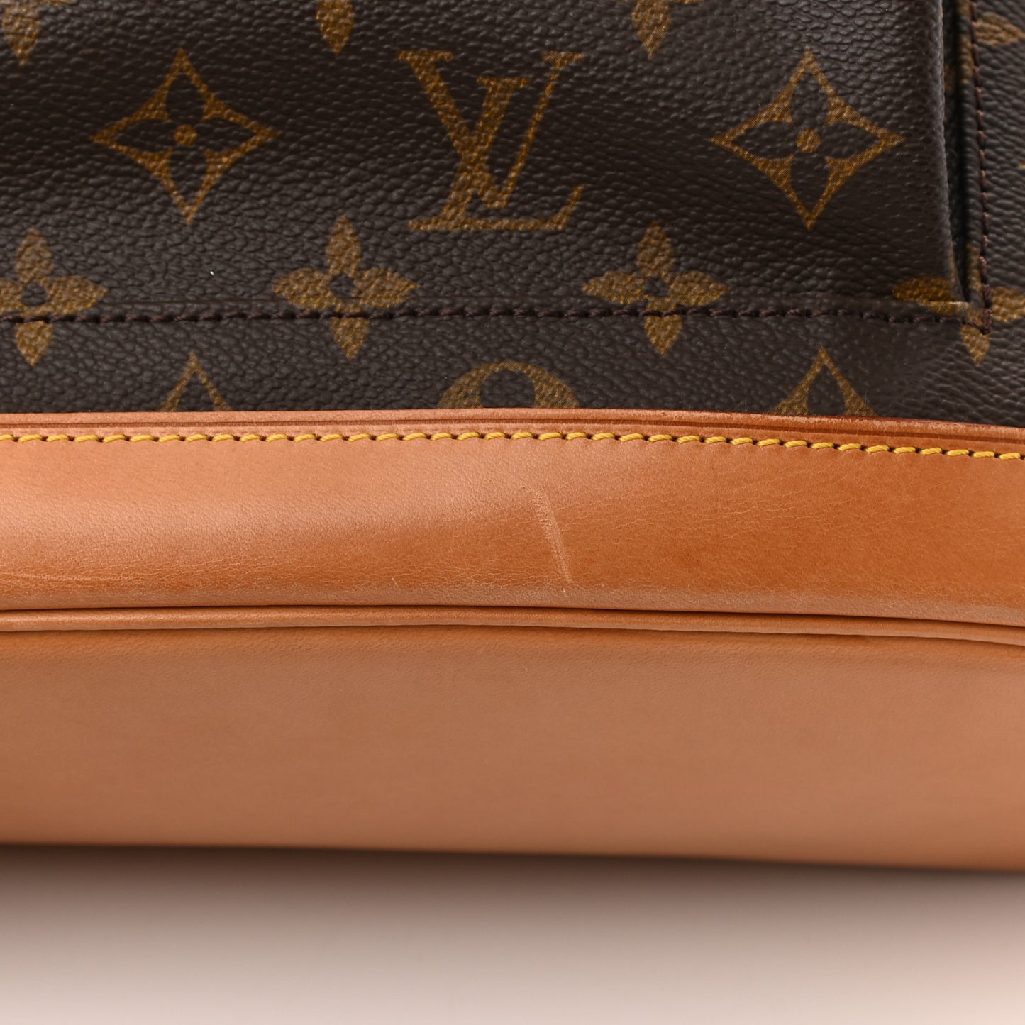 Monogram Montsouris GM Backpack