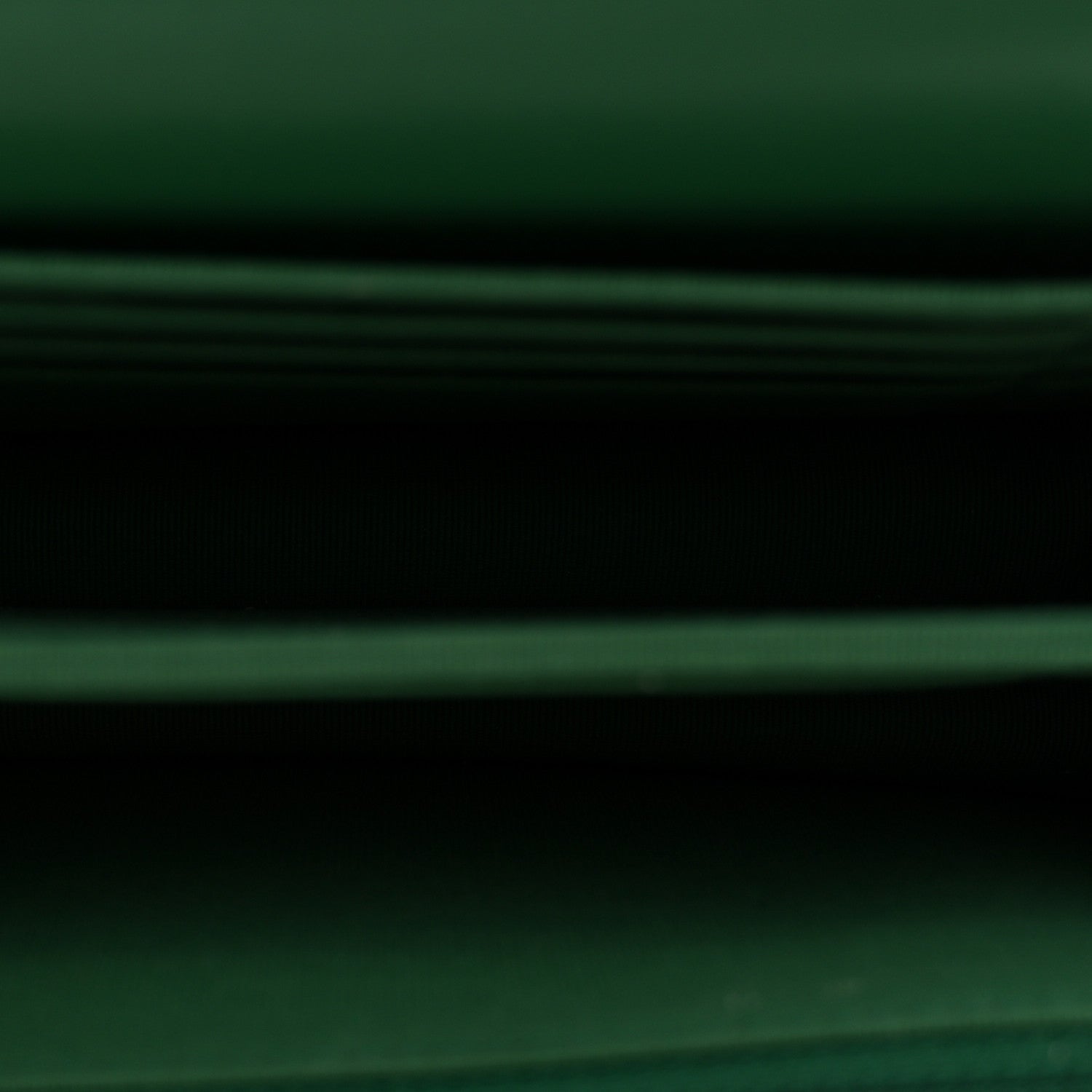 Chanel Aged Calfskin Quilted Mini Reissue Wallet On Chain WOC Green 5 of 11
