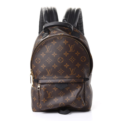 Louis Vuitton Monogram Palm Springs Backpack PM 1 of 4