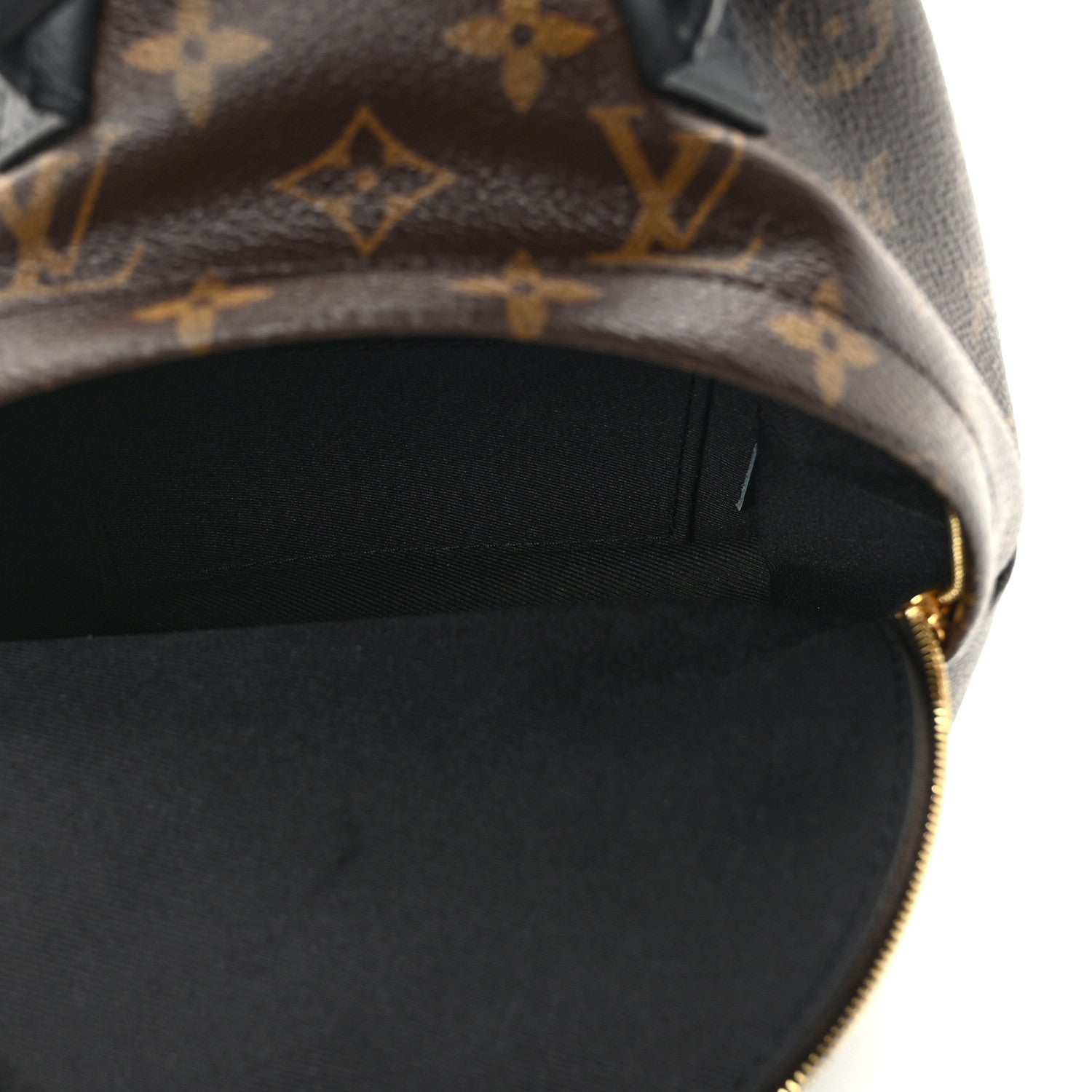 Louis Vuitton Monogram Palm Springs Backpack Mini 5 of 14