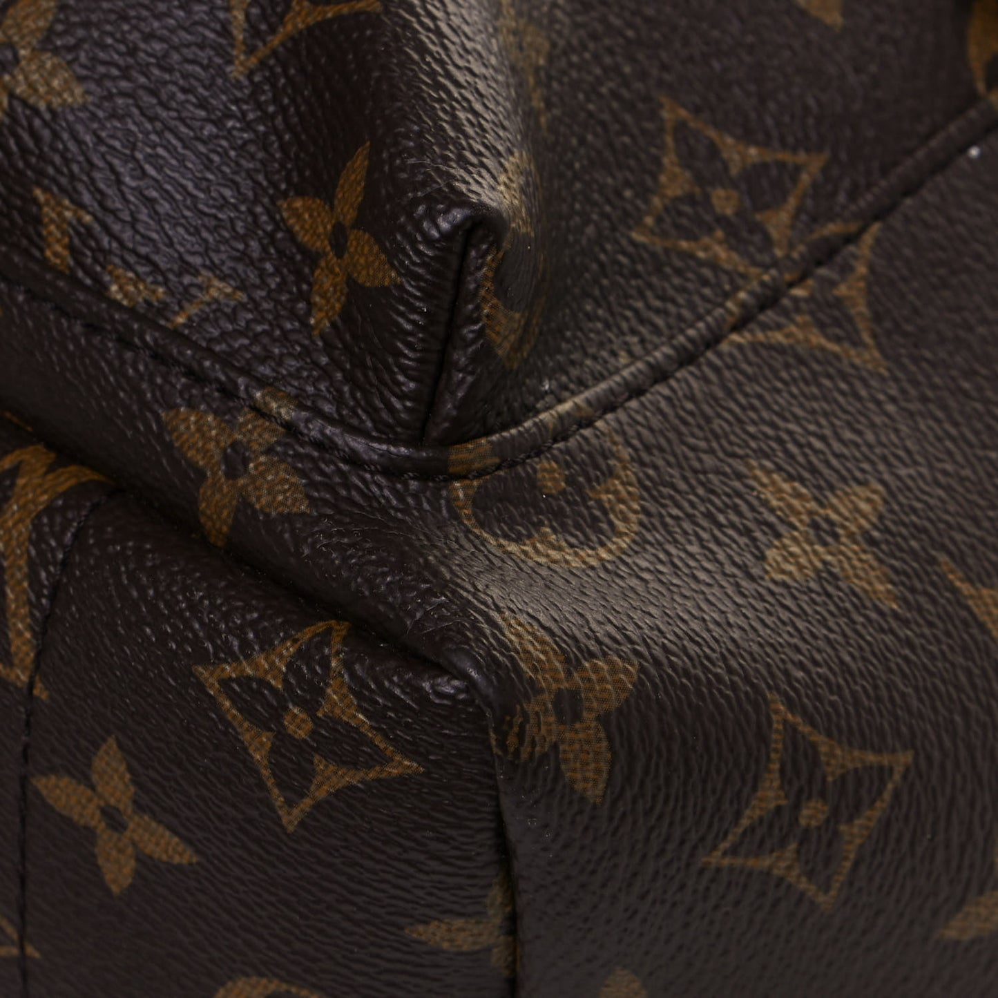 Monogram Palm Springs Backpack PM