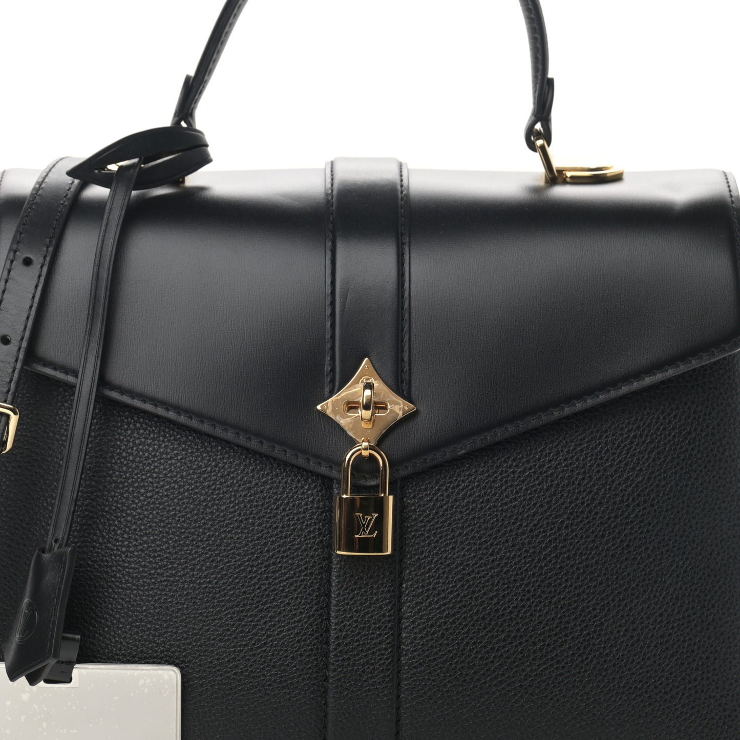 Grained Smooth Calfskin Rose Des Vents MM Black