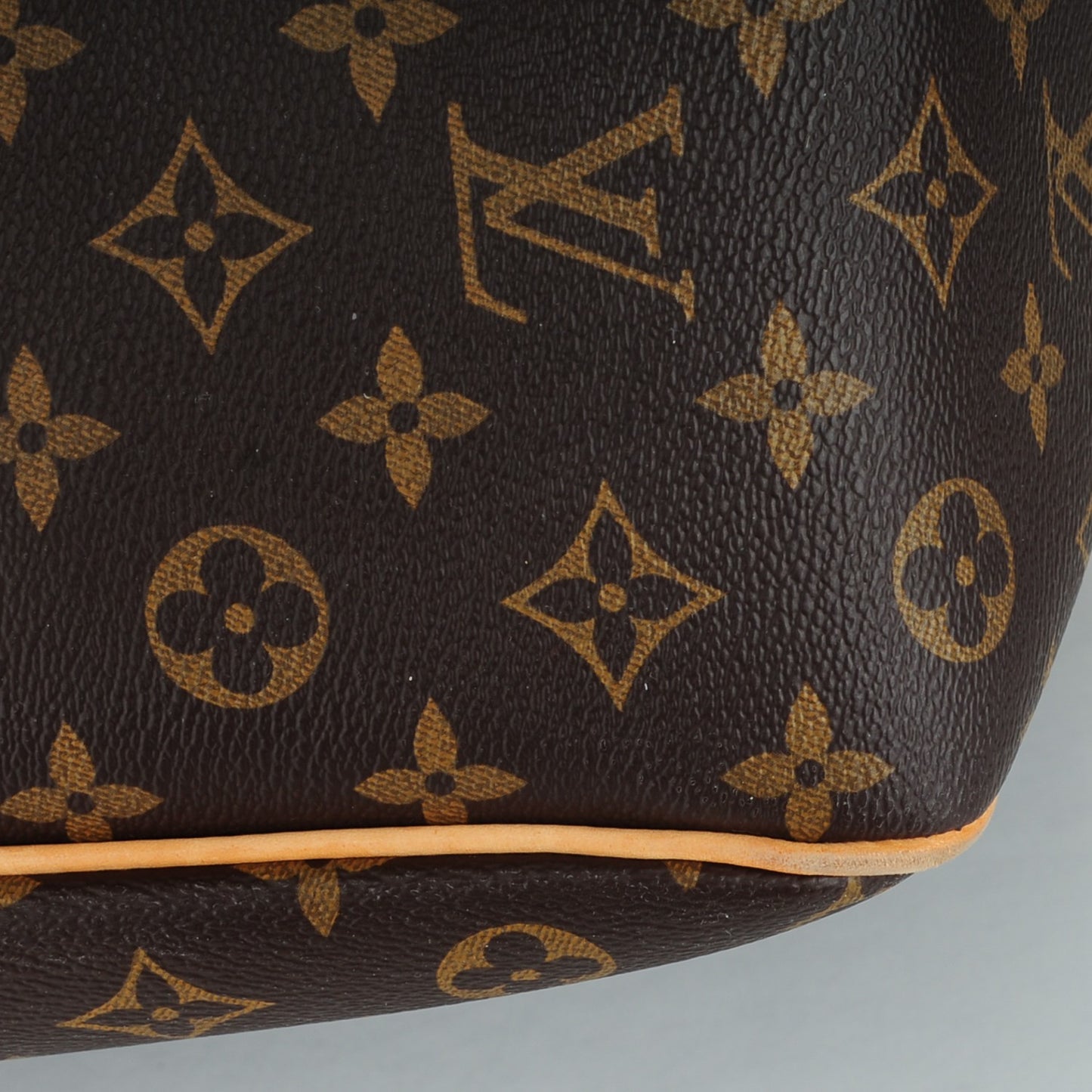 Monogram Delightful PM