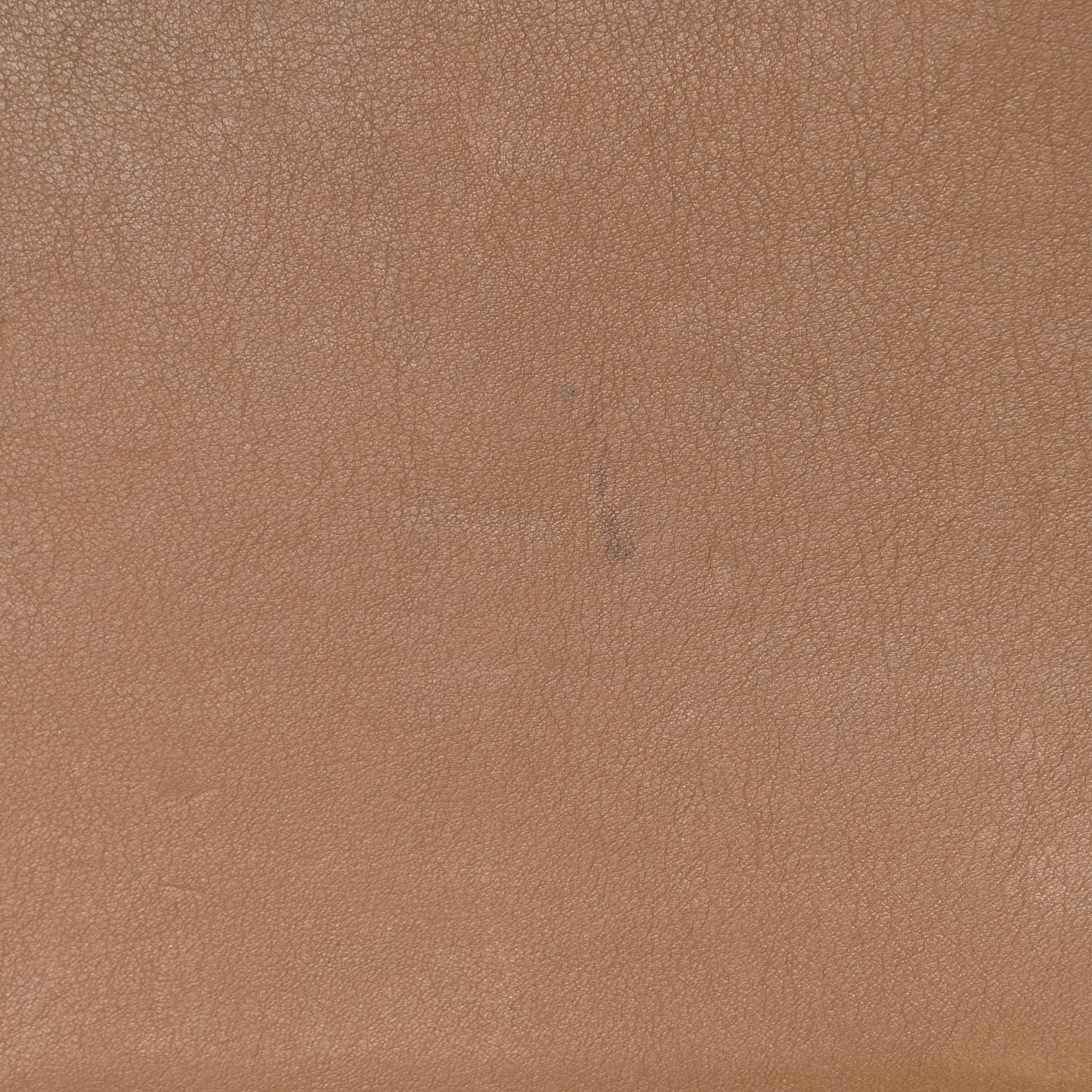 Swift Birkin 35 Biscuit