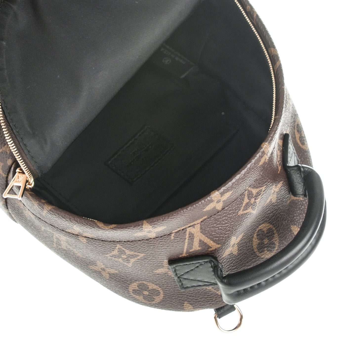 Monogram Palm Springs Backpack Mini