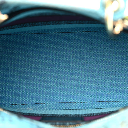 Christian Dior Canvas Toile de Jouy Voyage Embroidered Medium Lady D-Lite Celestial Blue 5 of 12