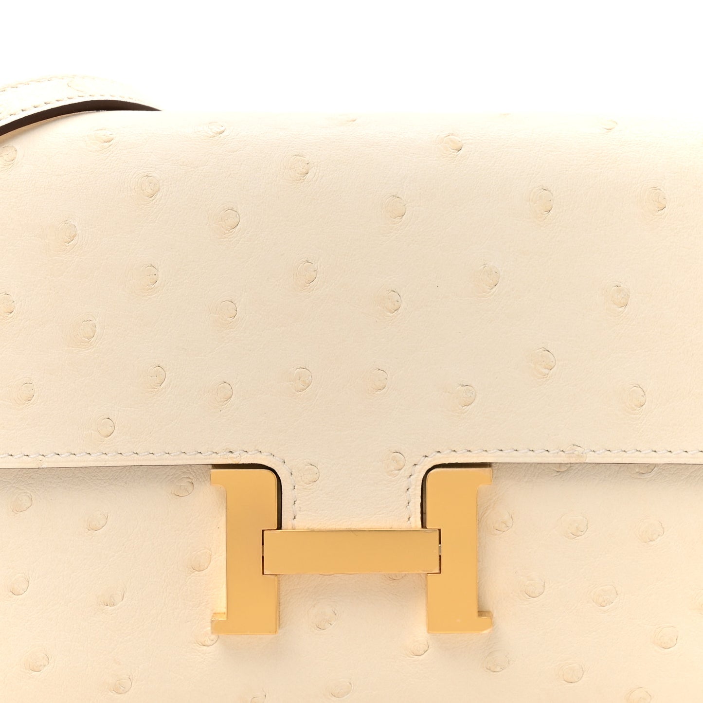 Ostrich Constance Long Wallet To Go Nata