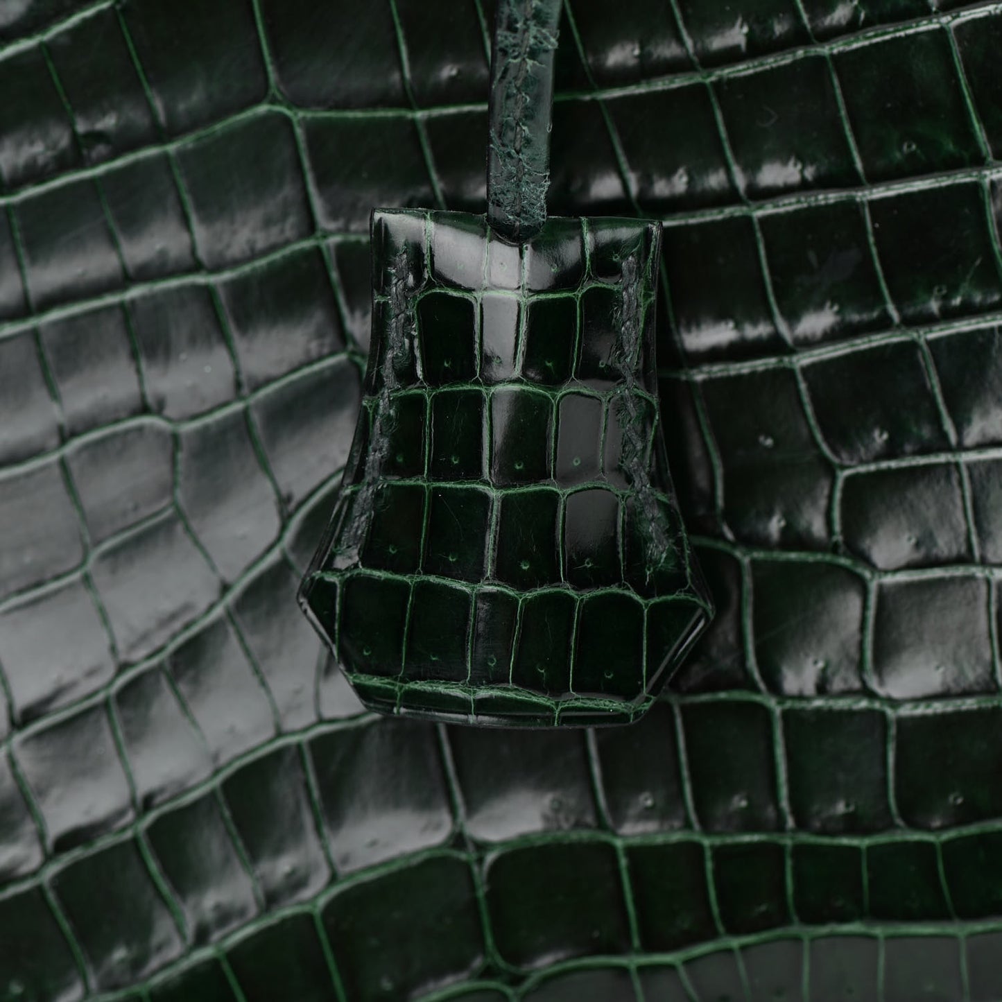 Shiny Niloticus Crocodile Birkin 25 Vert Fonce