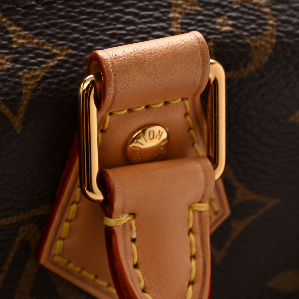 Monogram Speedy Soft Crafty 30