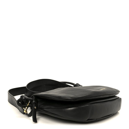 Loewe Shiny Nappa Calfskin Paseo Satchel Black 4 of 9