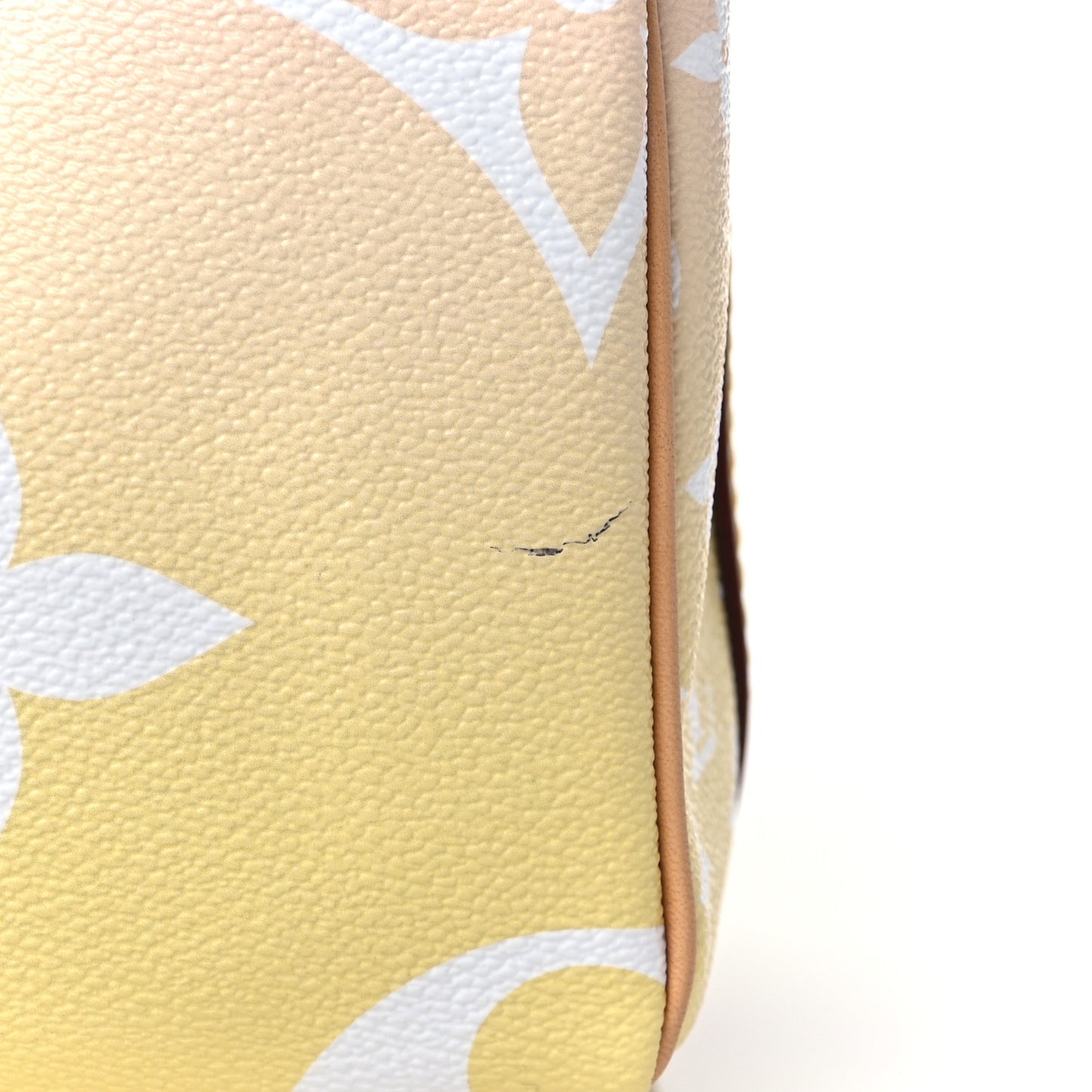 Monogram Giant By The Pool Speedy Bandouliere 25 Light Pink