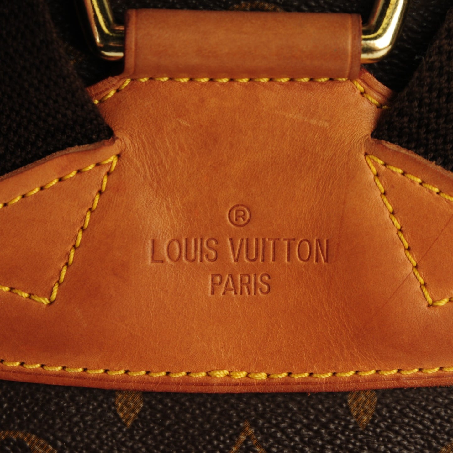 Monogram Montsouris GM Backpack
