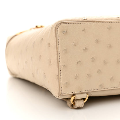 Loro Piana Ostrich L23.5 Extra Pocket Backpack Inca Stone 8 of 9