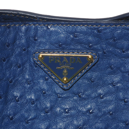 Prada Ostrich Executive Tote Cobalto 8 of 8