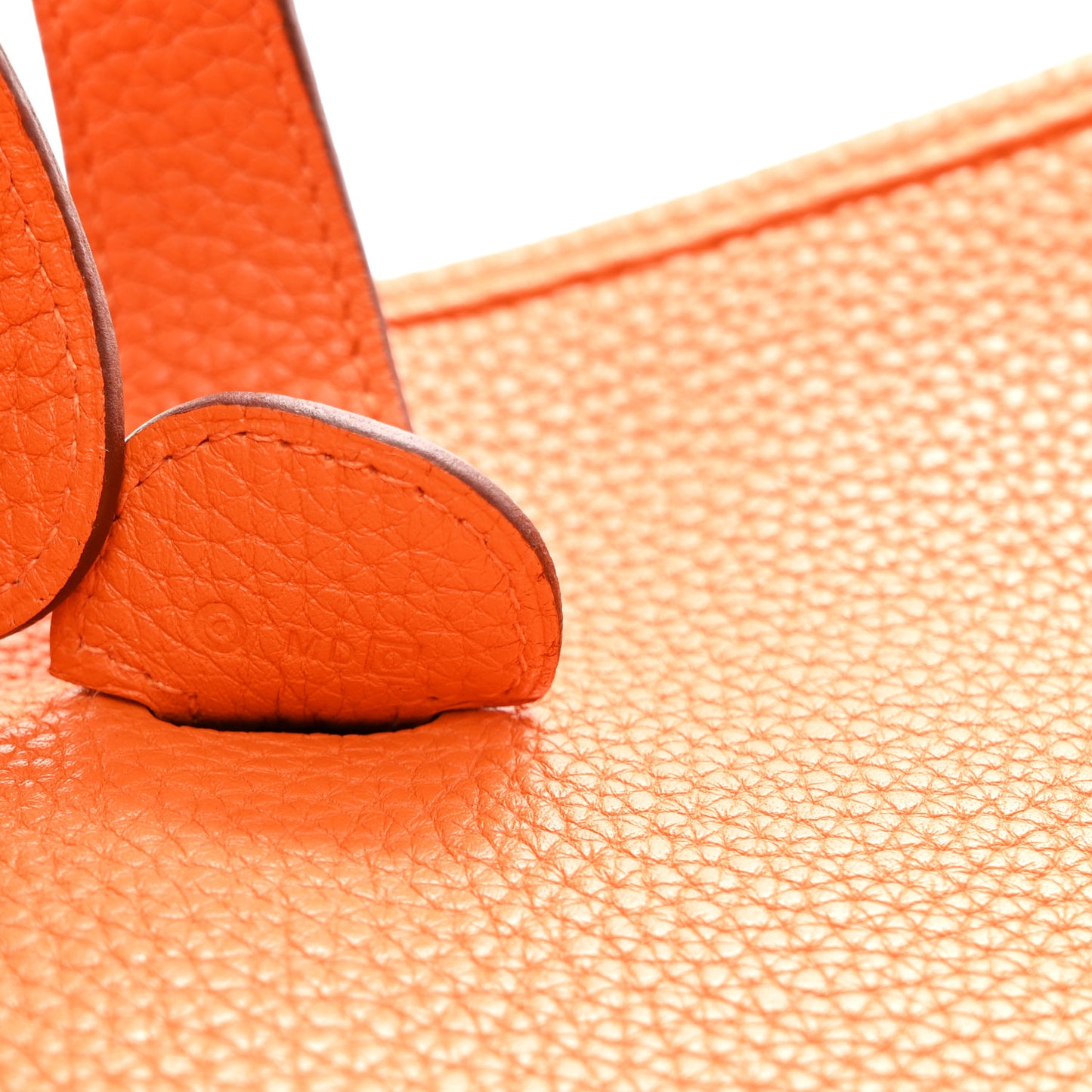 Taurillon Clemence Evelyne III GM Orange