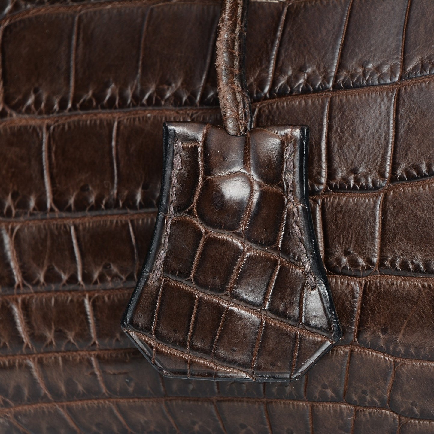 Matte Niloticus Crocodile Birkin 30 Chocolate