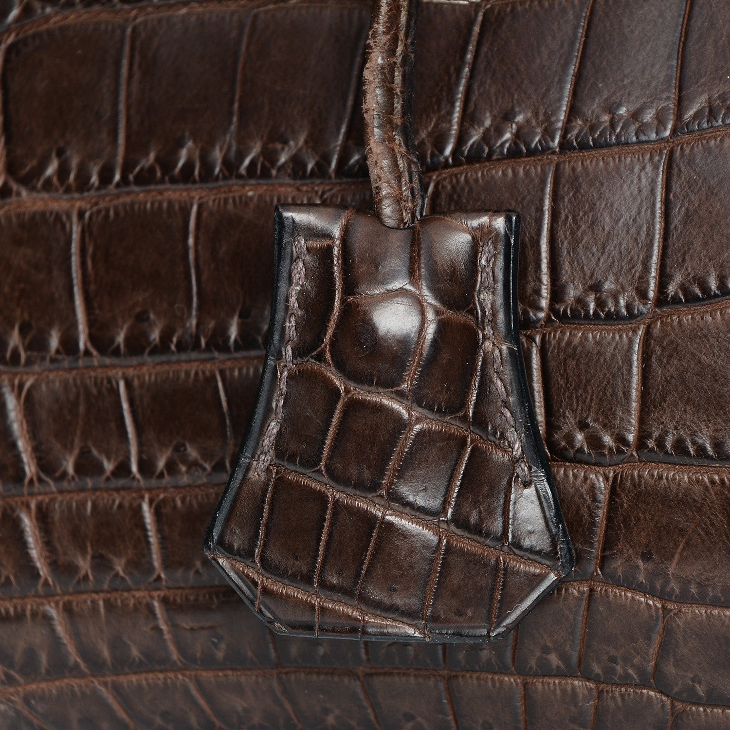 Hermes Matte Niloticus Crocodile Birkin 30 Chocolate 11 of 27