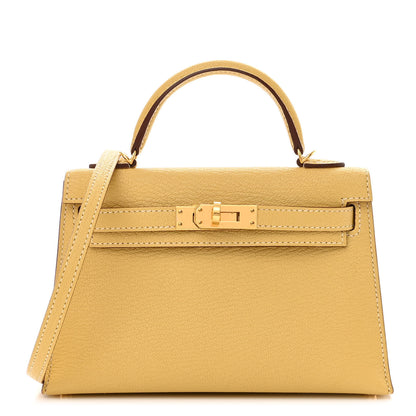 Hermes Chevre Mysore Mini Kelly Sellier 20 Foin 1 of 12