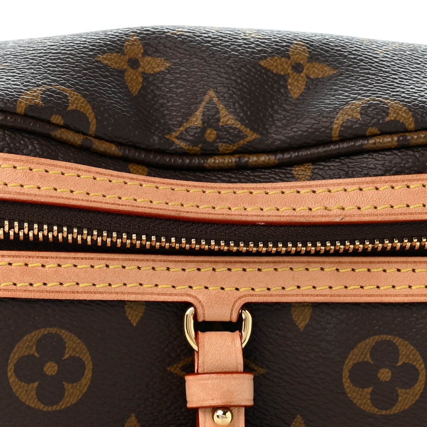 Monogram High Rise Bumbag