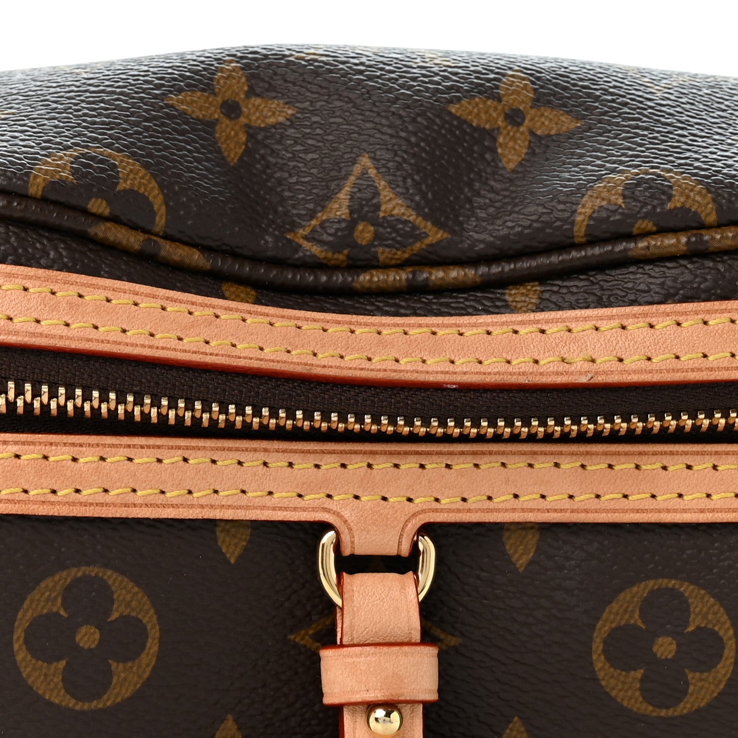 Louis Vuitton Monogram High Rise Bumbag 6 of 9