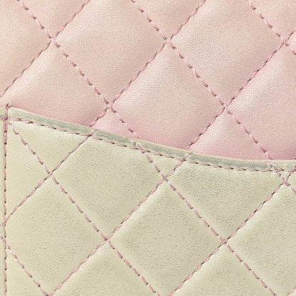 Chanel Lambskin Degrade Quilted 2.55 Reissue 226 Flap Pink 16 of 22