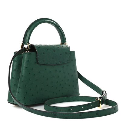 Louis Vuitton Ostrich Capucines Mini Mint 3 of 9